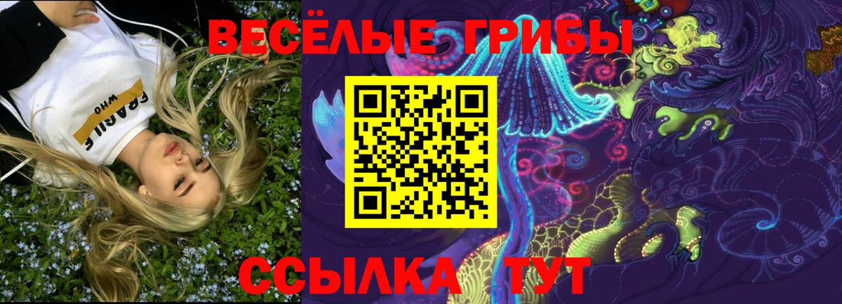 Ишим  Галлюциногенные грибы мухоморы  Вход с VPN  Псилоцибиновые грибы Psilocybe 